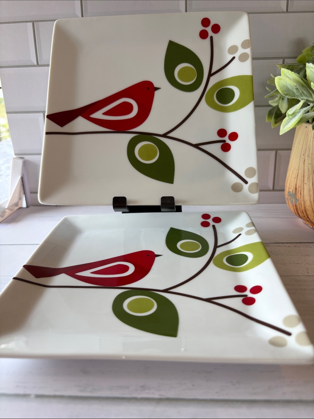 Tag Red Bird & Olive Leaf Square Dinner Plates - Set of 2